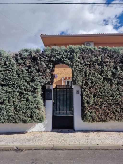 Primera Planta Completa, El Alamo Exterior photo