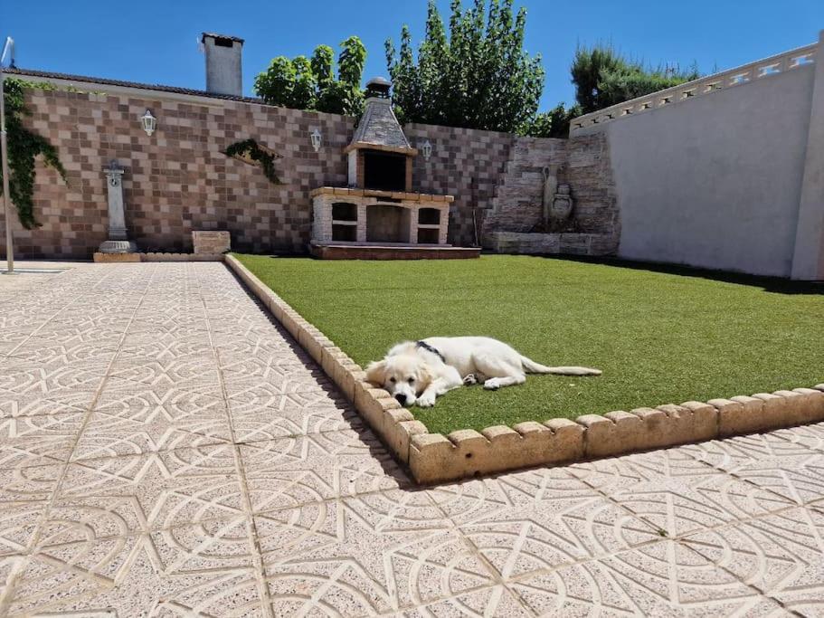 Primera Planta Completa, El Alamo Exterior photo